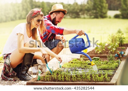 Picture of young couple planting organic vegetables and herbs