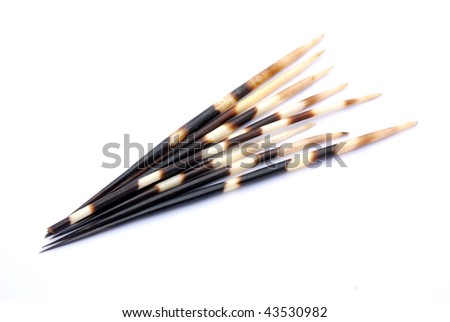 South African black and white porcupine quills. Image isolated on white studio background.