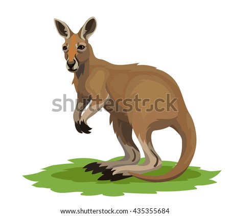 Vector kangaroo