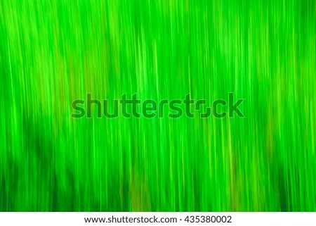 green grass, abstract background