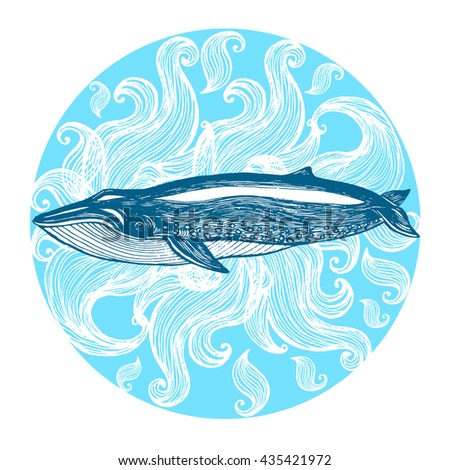 Blue whale, Hand drawn vector illustration. Drawn in ink.