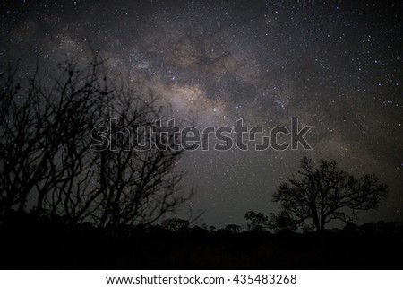 Beautiful night landscape with milky way in the night sky on background of the dark outline of the dry forest and pine