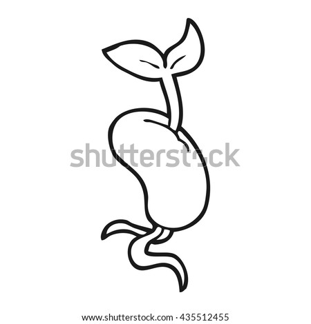 freehand drawn black and white cartoon sprouting seed