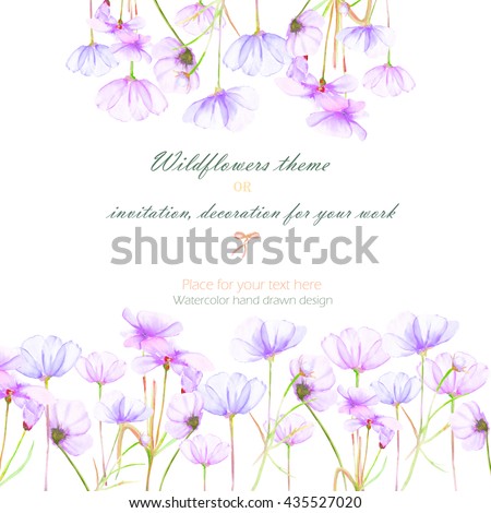 Background, invitation card, template postcard with the tender purple cosmos flowers, hand drawn on a white background, background for your card and work