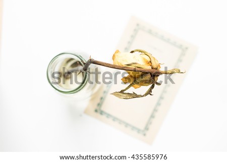 Top view of dried yellow rose  flower and blank note paper. (Focus flower)