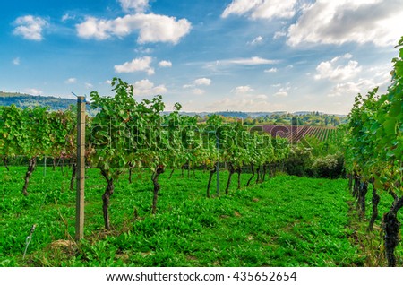 Vines in Germany.

