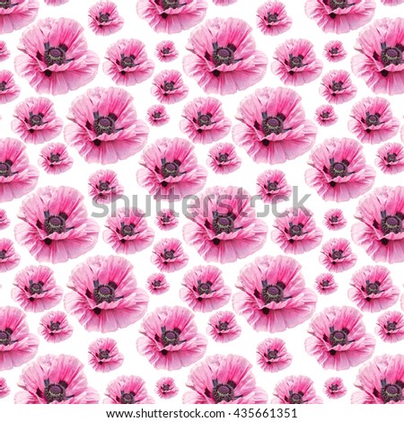  Pattern of pale pink poppy luxury fresh various sizes on a white background. Suitable for greeting cards, invitations for wedding napkins and wrapping paper.