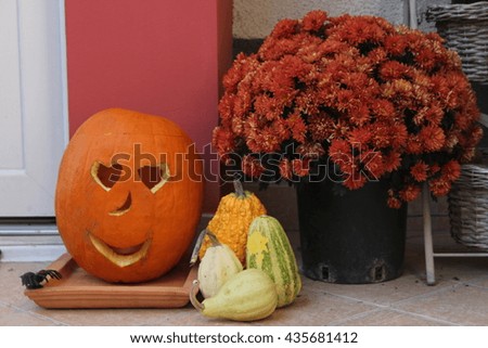halloween, flower