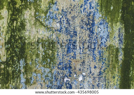 Old mossy green wall as background texture