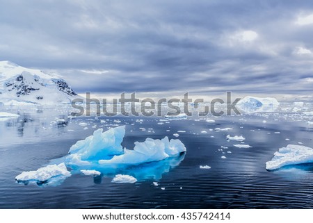 Ice floes  near Antarctica