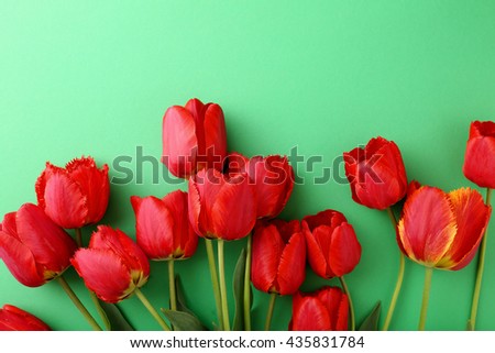 tulips bouquet on green background, flowers top view