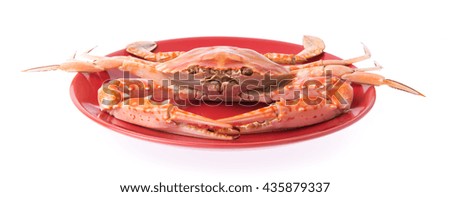 cooked crab prepared on plate isolated on white background