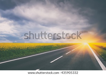 empty asphalt road and floral field of yellow flowers. natural  background. vintage picture