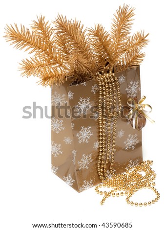 Cristmas gift package, fur branches on white background