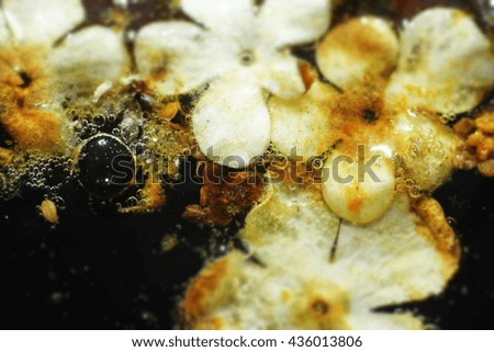 Abstract macro background. Little white flowers in soft focus on dirty pool water with bubbles. Selective focus.