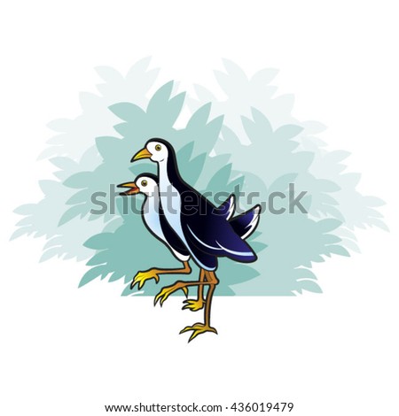 colored two water hens walking near blue bush-vector drawing