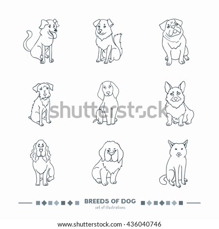 Breeds of dog. Funny cartoon style line black and white illustration for coloring. Vector isolated from white background. Saint Bernard, Shiba Inu, Welsh Corgi, Schnauzer. Different dogs sits.