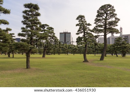 Japanese Emperor's Imperial Palace East Garden with Tokyo City Building in Background