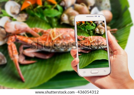 Crab on a background of shells and greenery. restaurant