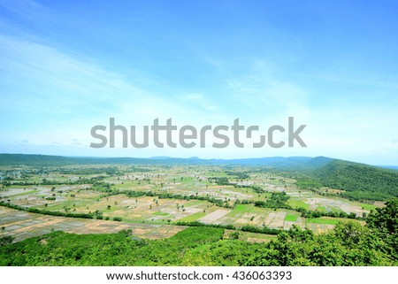 Aerial view of rice fields in Thailand.