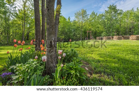 Shaded tulip and flower garden on country front lawn in  springtime. 
 Royalty-Free Stock Photo #436119574