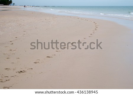 Horse footprints along beach line - background