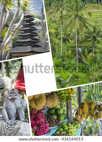 Collage of Bali (Indonesia) images - travel background (my photos)