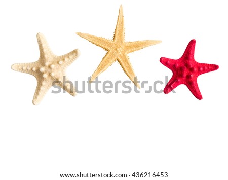 Sea stars collection isolated on white background. Royalty-Free Stock Photo #436216453