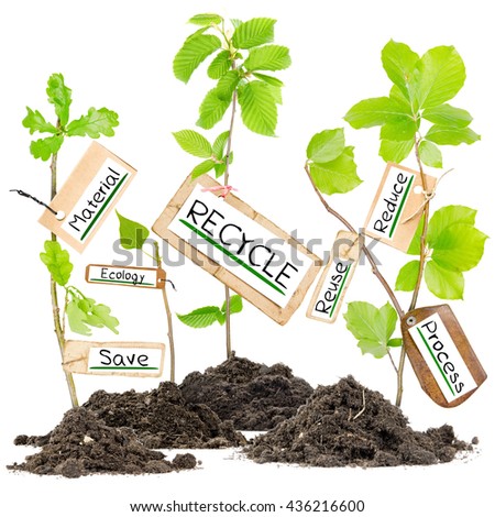 Photo of plants growing from soil heaps with RECYCLE conceptual words written on paper cards