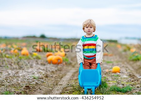 Cute blond kid boy with big pumpkins on autumn day, choosing squash for halloween or thanksgiving on pumpkin patch. Child having fun with farming.