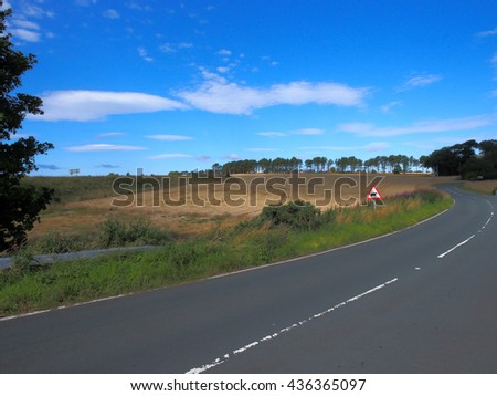 Curvy road with animal warning sign and bright blue sky