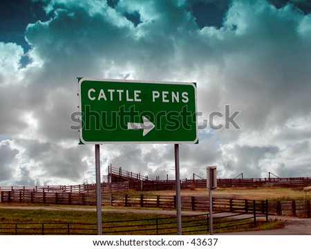 Cattle Pens