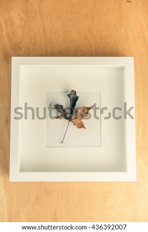 maple leaf in picture frame 