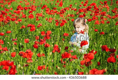 Little child girl in field with red poppy flowers