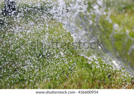 drops transparent water and grass on the lawn
