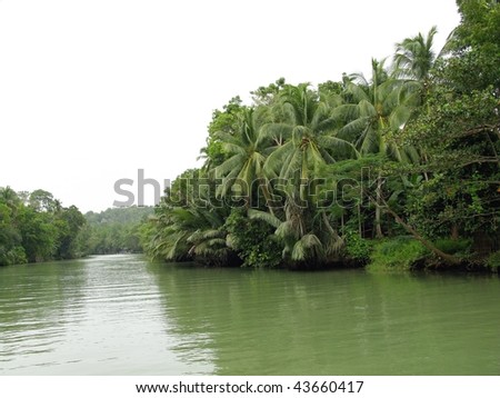 The Loboc river at the island Bohol in the Philippines