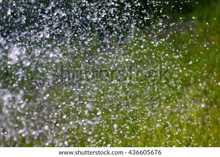 garden green grass lawn and water droplets rain