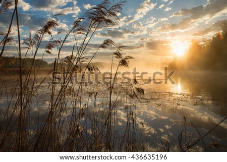 golden sun rises over the river and a fog creeps  water, the  rays make their way through the trees, a beautiful reflection the sky and clouds
