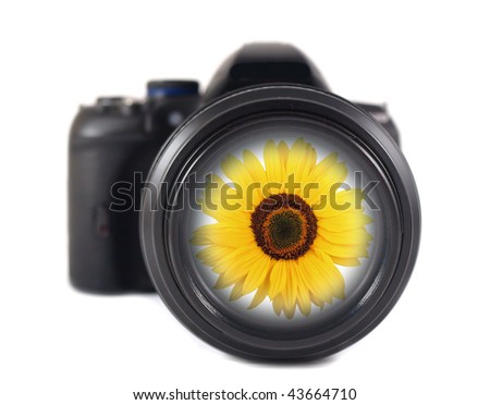 DSLR camera with sunflower on white background