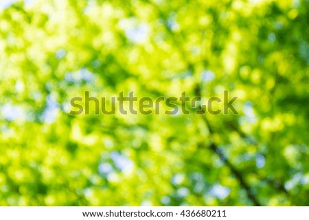 Abstract natural green color background. Natural Bokeh