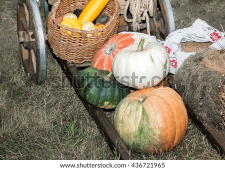 A variety of vegetables: potatoes, pumpkin, squash, beets, corn, apples offered for sale at the fair.