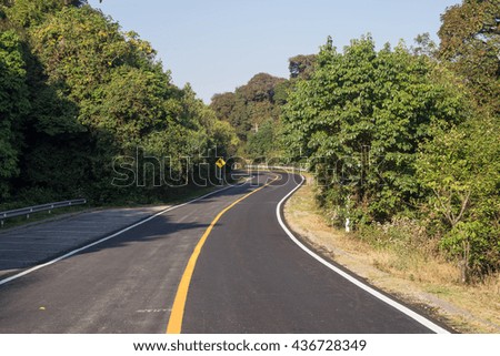 Asphalt roads in the forest and turn left