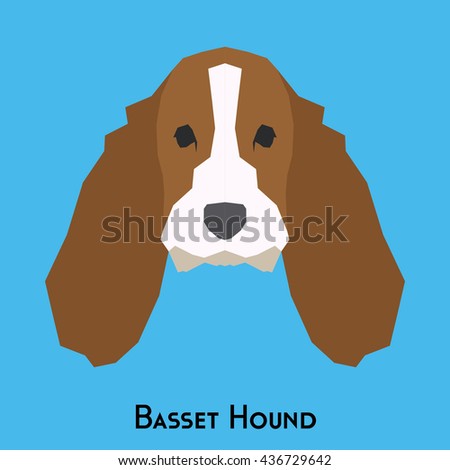 Isolated basset hound dog on a blue background
