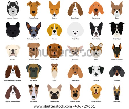 Set of different breeds of dogs on a white background
