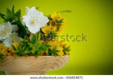 beautiful yellow summer flowers
