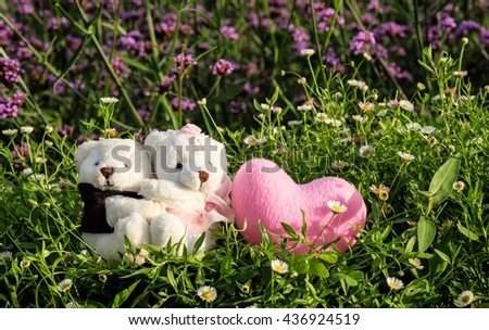 Soft focus of couple of teddy bear with nature background.