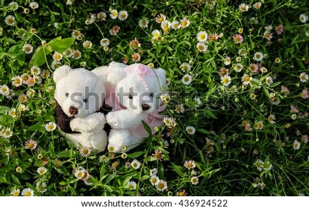 couple of teddy bear dancing in beautiful nature background.