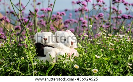 Soft focus couple of teddy bear with nature background.
