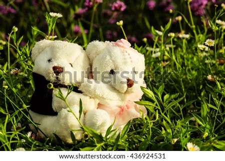 Soft focus of couple of teddy bear with nature background.