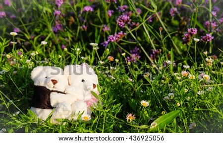 couple of teddy bear with nature background.